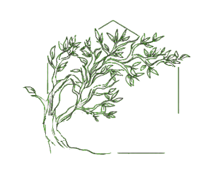 Mallorca Property Guru logo